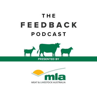 Meat & Livestock Australia's Feedback Podcast