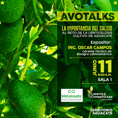episode Lenticelosis en Cultivo de Aguacate - Avotalks 2021 artwork