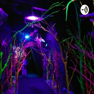 episode Goals After 40 artwork