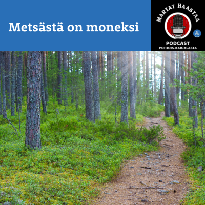 episode Jakso 9/2024 Metsästä on moneksi artwork