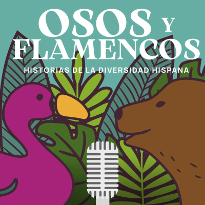 Osos y flamencos