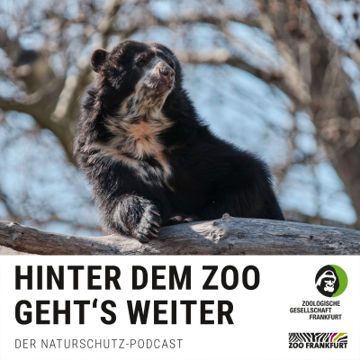 episode Saisonstart im Zoo: Was kommt, was bleibt, was brüllt artwork