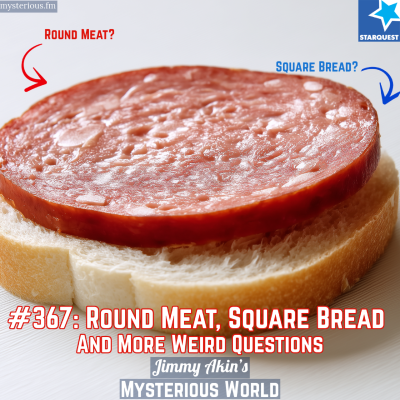 episode Round Meat? Square Bread? And More Weird Questions artwork