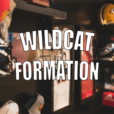 episode Wildcat Formation: Episode 1 Fantasy Football Mid Round Targets artwork