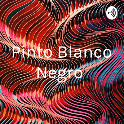 Pinto Blanco Negro