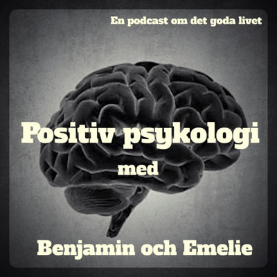 episode 14. Lycka, något mer än bara positiva känslor? (Eudaimonistiskt välmående) artwork