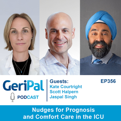 episode Nudges for Prognosis and Comfort Care in the ICU: Kate Courtright, Scott Halpern, & Jaspal Singh artwork