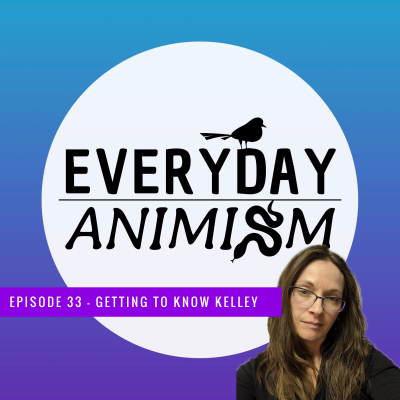 episode Episode 33 - Getting to Know Kelley artwork