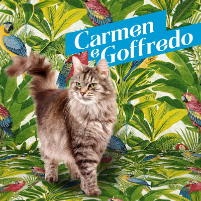 episode Carmen e Goffredo artwork