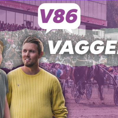 episode V86 tips till Vaggeryd 25/6 - Bygger system live! artwork