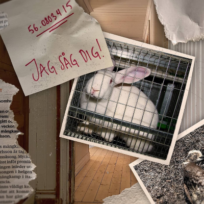 episode Det begravda fallet – del 4 artwork