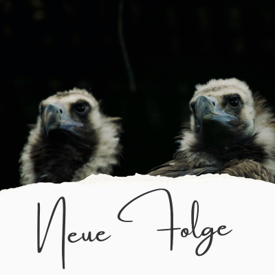 episode Nun lob mein Seel den Herren (EG 289) artwork