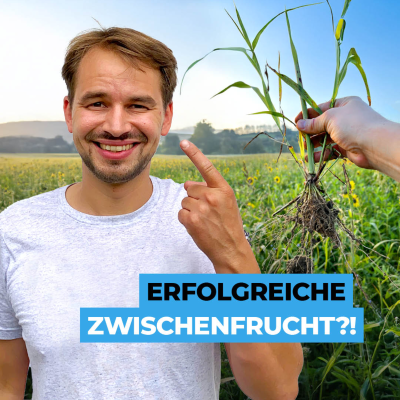 episode Wie geht eine erfolgreiche Zwischenfrucht? artwork