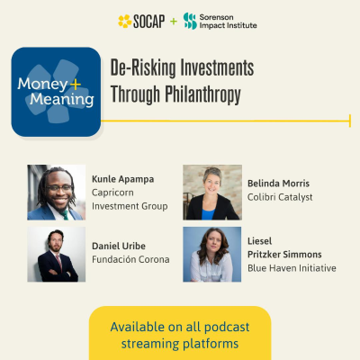 episode De-Risking Investments Through Philanthropy: A Real-Life Peek Behind the Scenes artwork