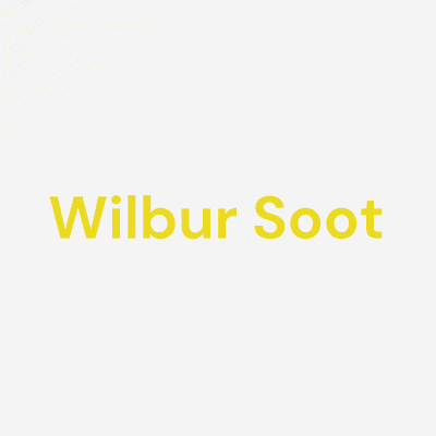 Wilbur Soot - Soft Boy