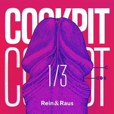 episode #236 › COCKPIT 1/3: Von Leistungsdruck zum sexuellen Selbstvertrauen – Erektionsprobleme und unbewusste sexuelle Angst artwork