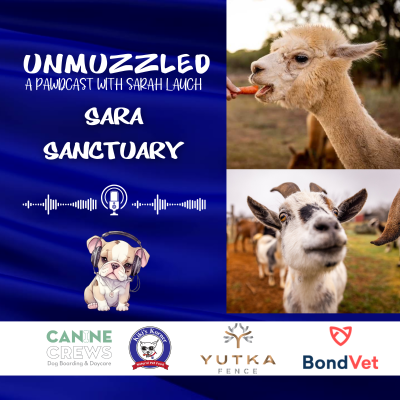 episode Unmuzzled: A Pawdcast with Sara Sanctuary artwork