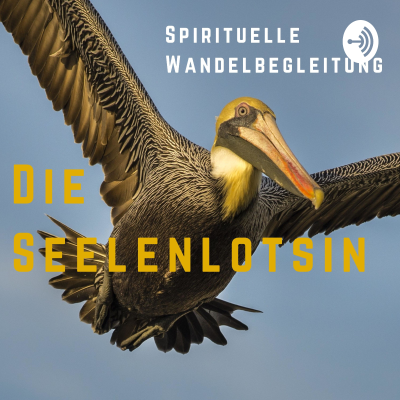 episode Ep. 124: Göttliche Ordnung artwork