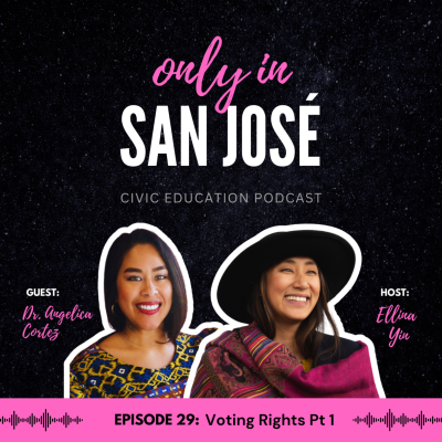 episode Episode 29: Voting Rights with Dr. Angelica Cortez Pt 1 artwork