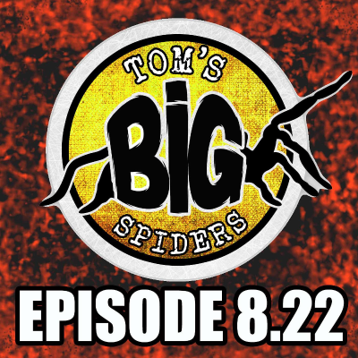 episode The Ten Least Visible Spiders I Keep artwork
