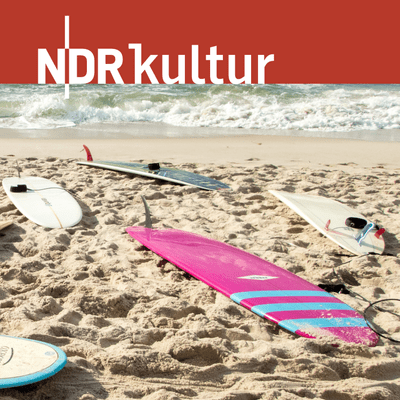 episode Surfology (5/5): Rüm hart, klar kimming – Surfen auf Sylt artwork
