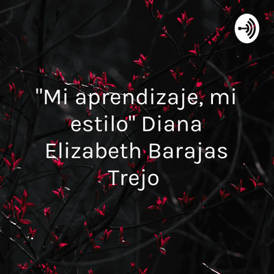 episode Diana Elizabeth Barajas Trejo "Mi aprendizaje, mi estilo " artwork