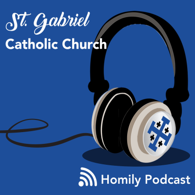 episode ”Jesus, Ladder to Heaven” Fr. Mike’s Homily for November 27, 2022 artwork
