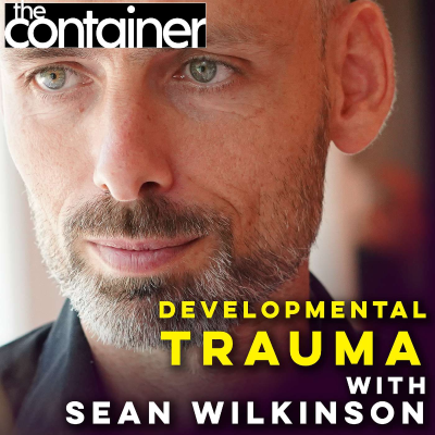 episode Developmental Trauma as Connection Intelligence with Sean Wilkinson artwork