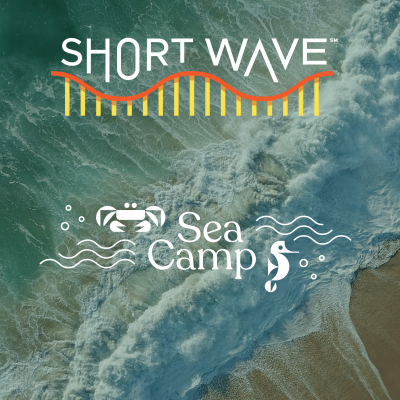 episode Sea Camp: Why Are Ocean Currents Shifting? artwork