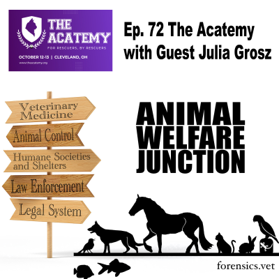 episode The Acatemy with Guest Julia Grosz artwork