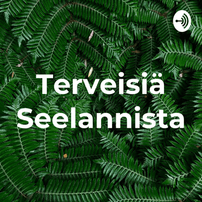 Terveisiä Seelannista