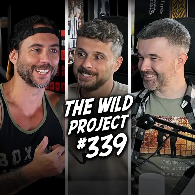 episode The Wild Project #339 | Streamer es torturado y muere en directo, Lo que no te cuentan de Silksong artwork