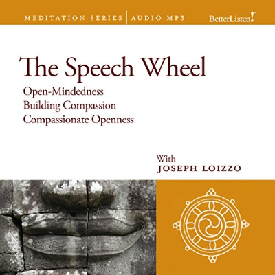 episode The Speech Wheel Audiobook by Joseph Loizzo artwork