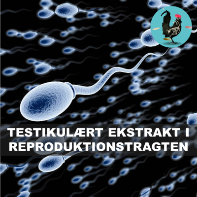 episode #228: Sædens lægelige egenskaber (1945) artwork