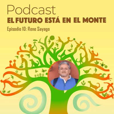 episode Episodio 10 - Apicultura de alto valor, trayectoria e innovación local artwork