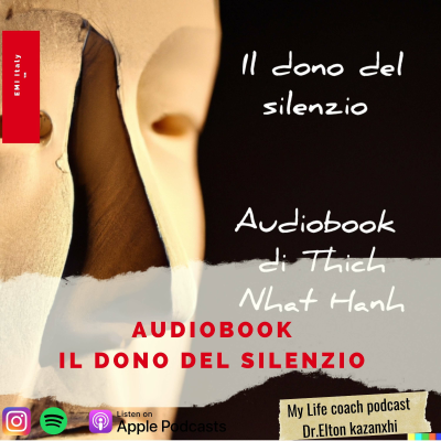 episode Il Dono Del Silenzio artwork