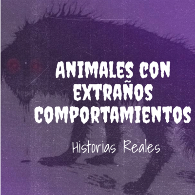 episode ANIMALES CON COMPORTAMIENTOS HUMANOS (Historias Reales) artwork