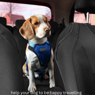 episode 4 Ways To Help Your Dog Be Happier Travelling artwork