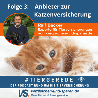 episode Folge 3: Tiergerede - Katzenversicherung, welche Anbieter gibt es? artwork