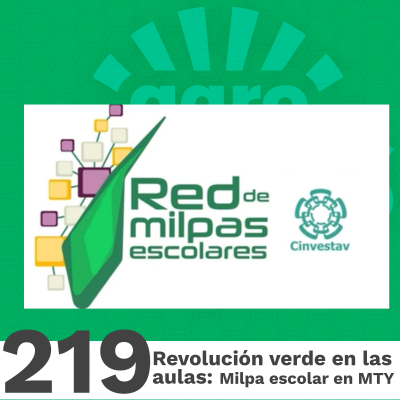 episode 219| La Revolución Verde en las Aulas: Milpa Escolar en Monterrey, NL artwork