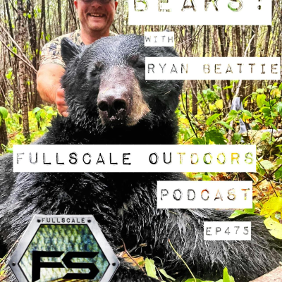 episode BEARS!! artwork
