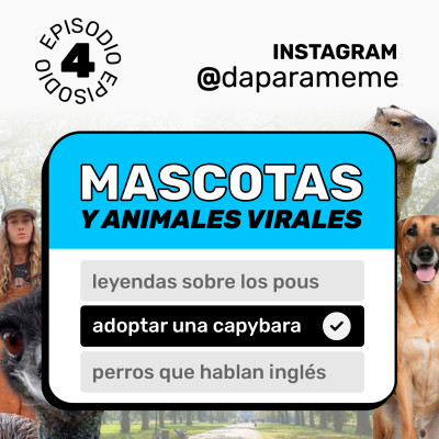episode MASCOTAS y animales virales | Da para Meme #04 artwork