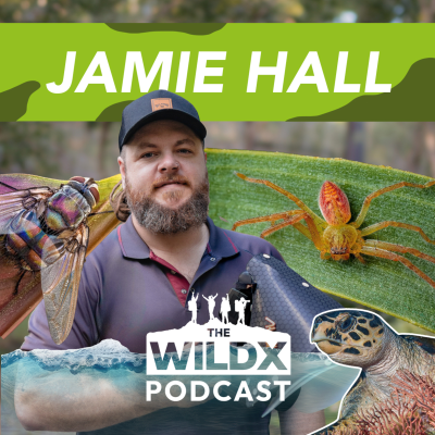 episode Episode 16 - Jamie Hall - Macro Photography legend! artwork