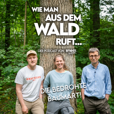 episode #24 Eine Baumart in Deutschland droht(e) auszusterben artwork