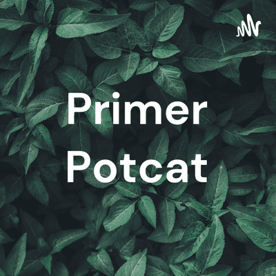 Primer Potcat