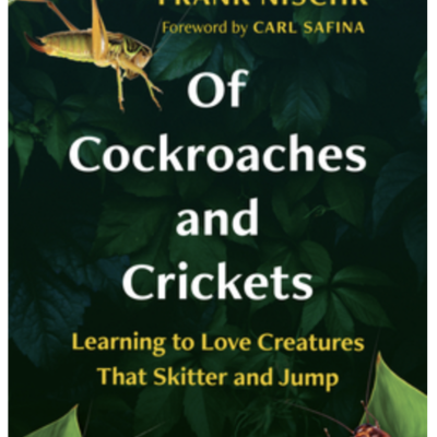 Episode 699: Frank Nischk - Of Cockroaches and Crickets: Learning to Love Creatures That Skitter and Jump