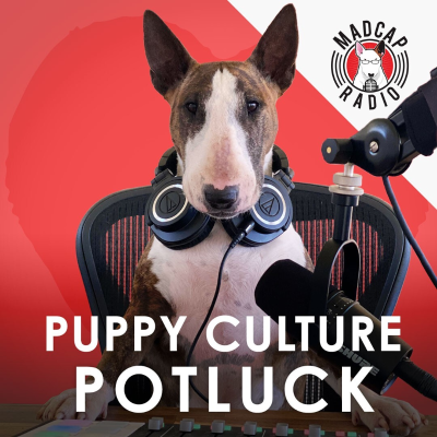 episode Puppy Culture Potluck: Ep28 - Is It All In How We Raise Them? Re-thinking the Nature vs Nurture Debate. artwork