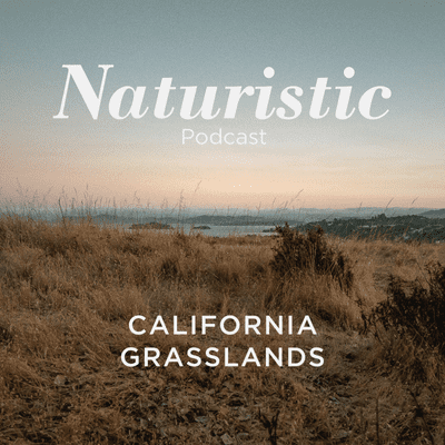 episode 7 - California Grasslands artwork