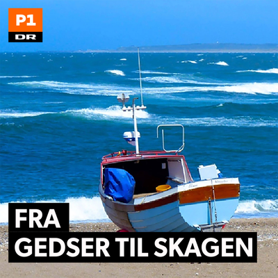 Fra Gedser til Skagen