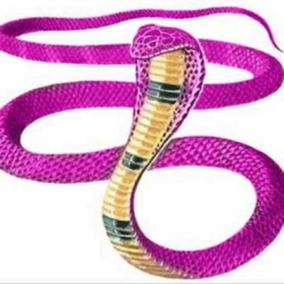 episode Picadura de la cobra gay artwork